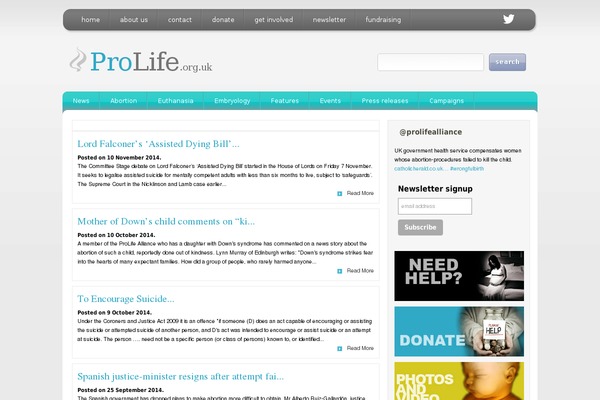 Site using Flash Video Player plugin