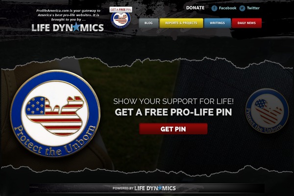 Flint theme site design template sample