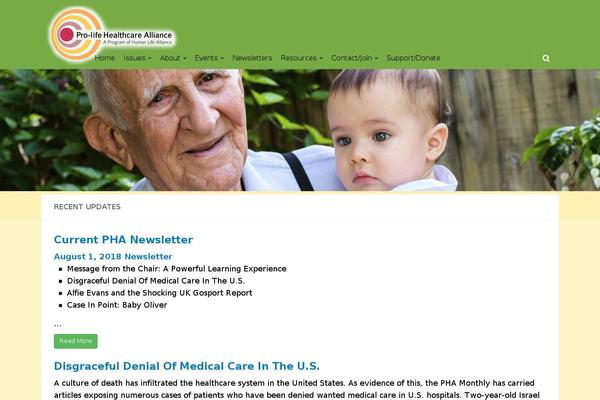 Hueman Child theme site design template sample