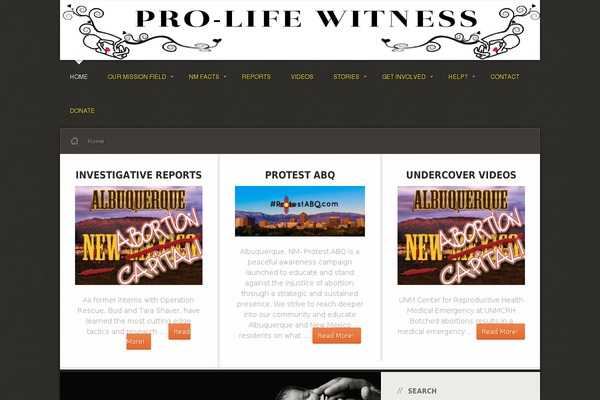 Site using SpeakOut! Email Petitions plugin