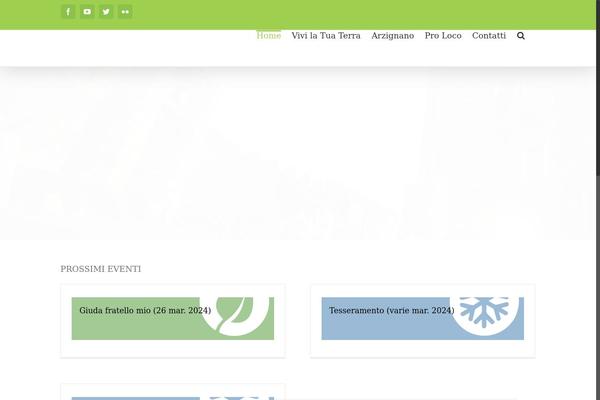 Avada Child theme site design template sample