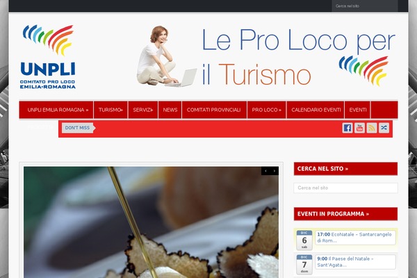 Presto theme site design template sample