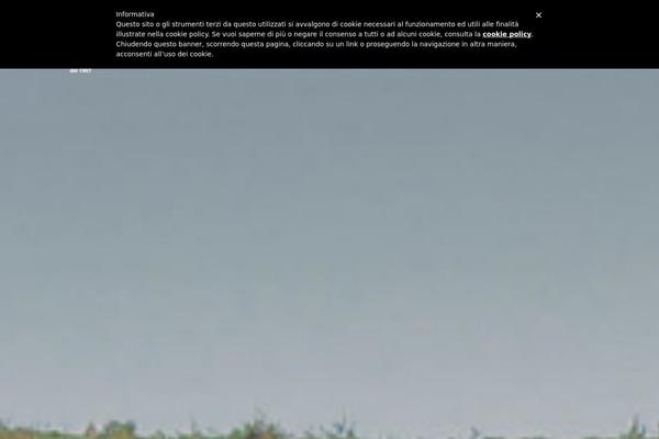 Site using Estatik plugin