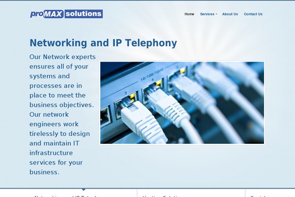Biznizz theme site design template sample