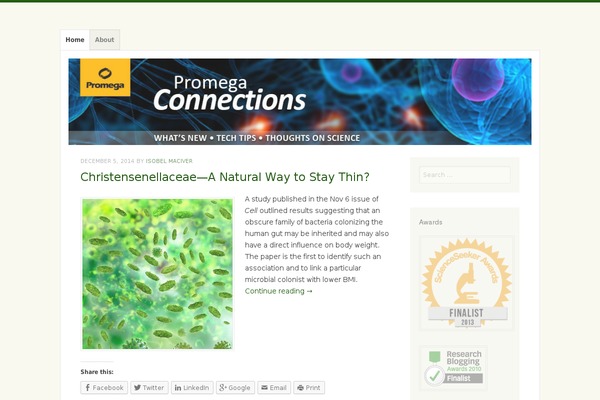 Misty Lake theme site design template sample