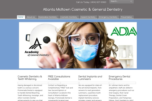 PureVISION theme site design template sample