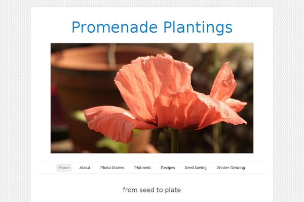 Site using Custom-fonts plugin