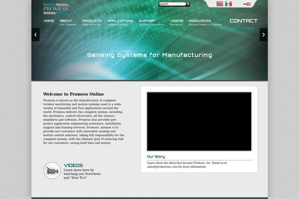 Site using Gravity Forms - Placeholders add-on plugin