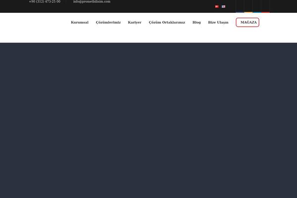 Site using Revslider-typewriter-addon plugin