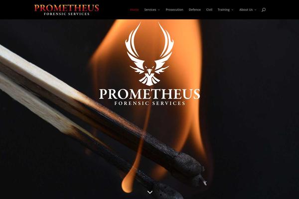 Divi Child theme site design template sample