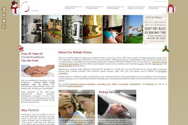 promis theme websites examples