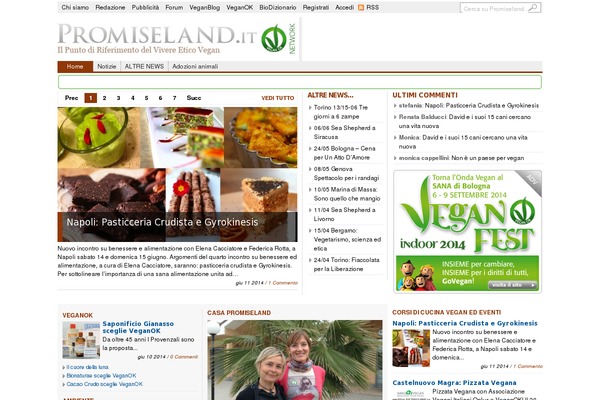 blognewsv102 theme websites examples