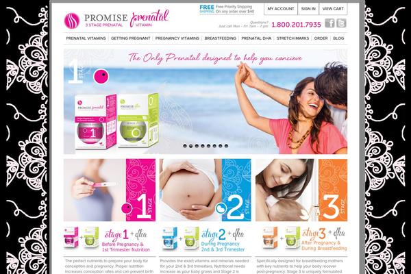 Promise theme site design template sample