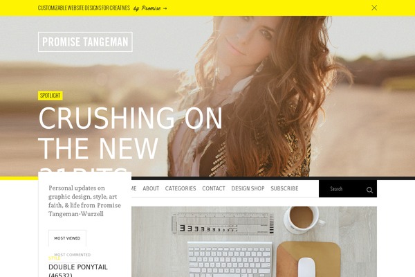 promise theme websites examples