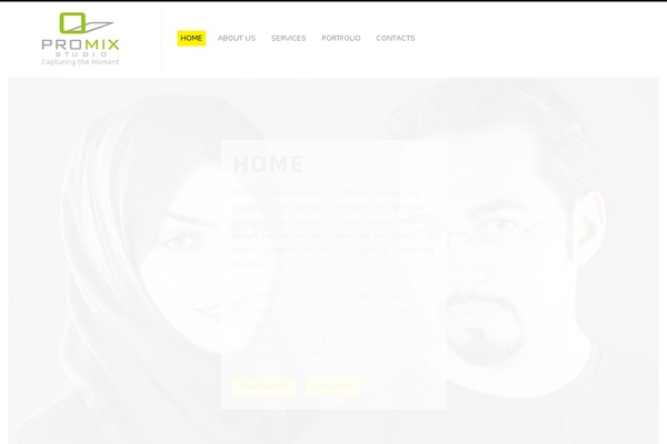 Fluxus theme site design template sample