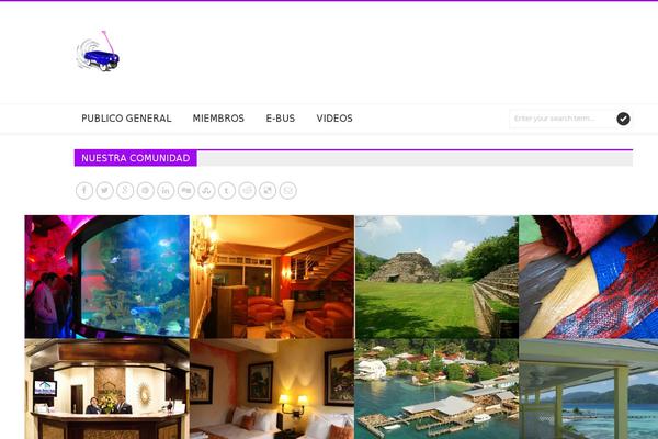 Skoon theme site design template sample