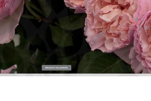 Site using Easy FancyBox plugin