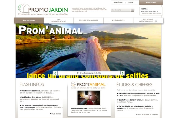 Site using Divifilter plugin