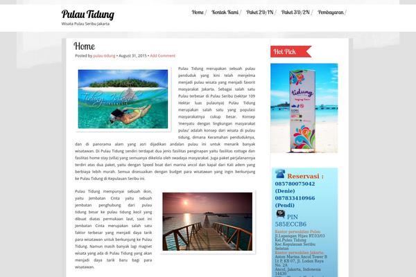 promopulautidung.com site used Travelous