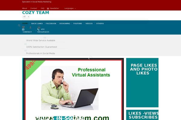 promvids.com site used Pricerrtheme