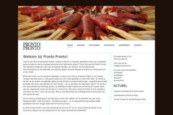 Pronto theme site design template sample