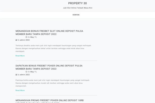 property30.com site used Padma Blog