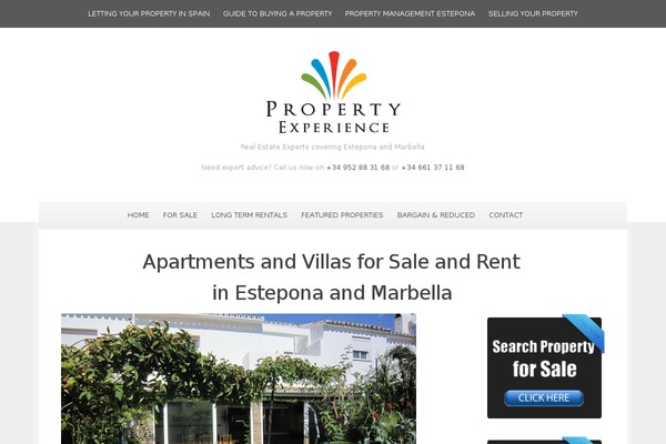 Site using Realteo plugin