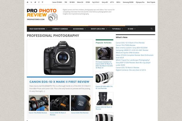 Reganto theme site design template sample