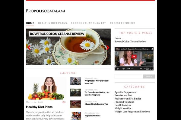 MH Purity lite theme site design template sample