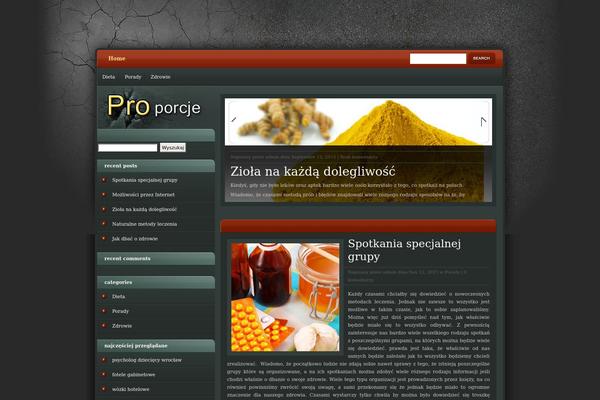 eGamer theme site design template sample