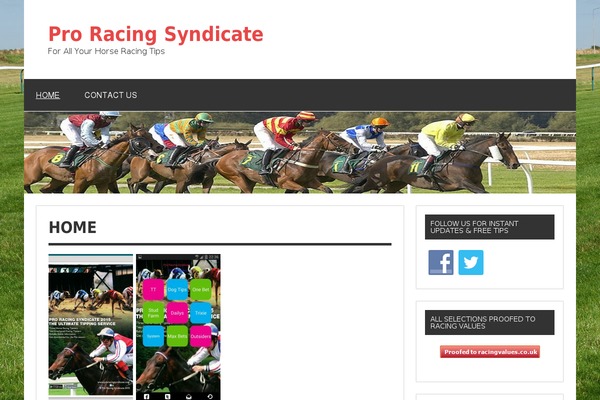 Sunspot theme site design template sample
