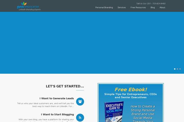 bizlight-pro theme websites examples