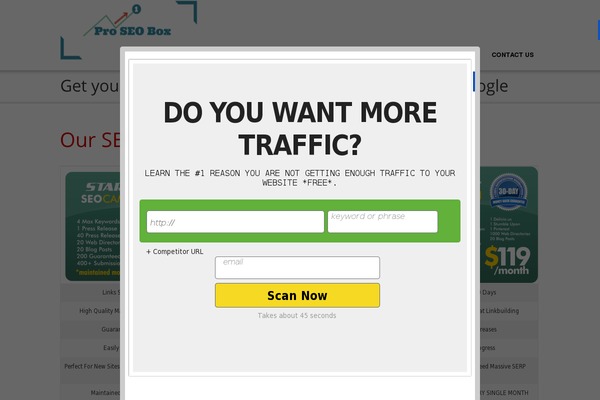 Promotion theme site design template sample