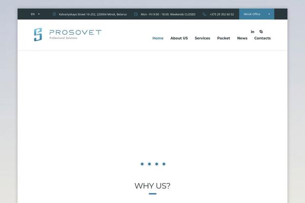 Consulting-child theme site design template sample