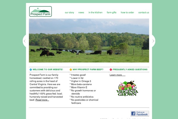 Nautilius theme site design template sample