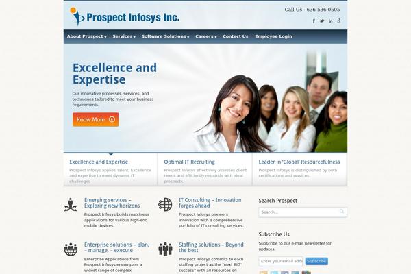 Biznizz theme site design template sample