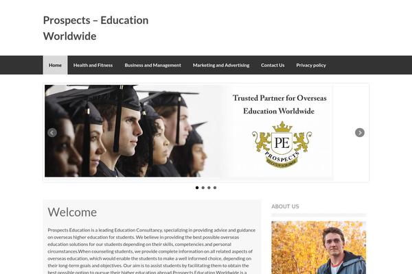 Pluto theme site design template sample