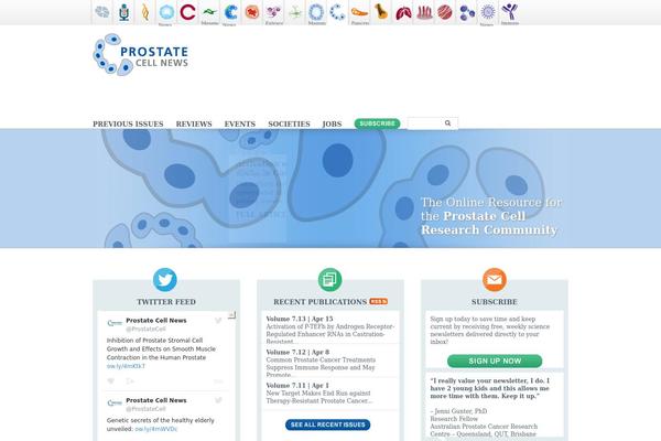 Pcn theme site design template sample