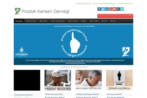 Nano3 theme site design template sample