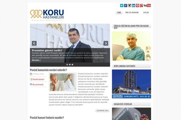 StarMag theme site design template sample