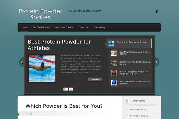 Polished theme site design template sample
