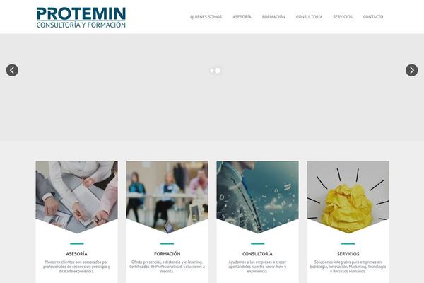 The Company theme site design template sample