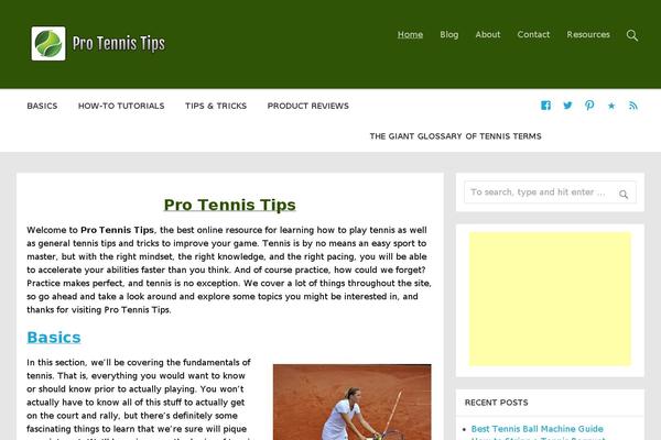 Momentous Lite theme site design template sample