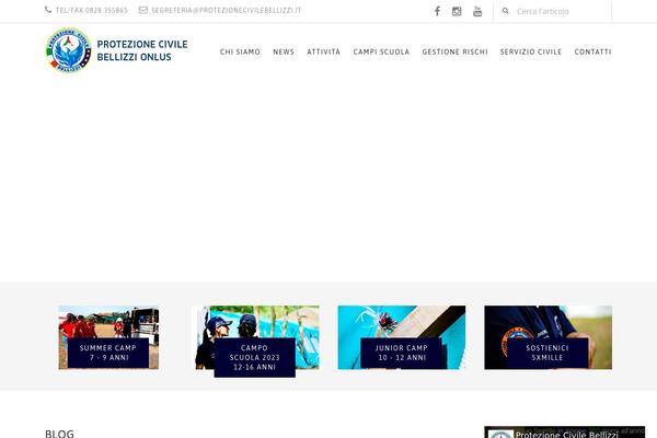 Mega theme site design template sample