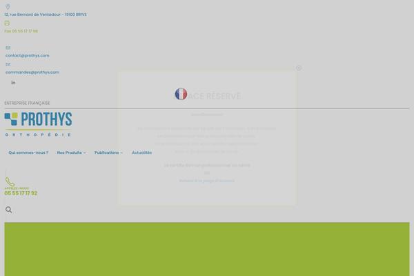 Porto theme site design template sample