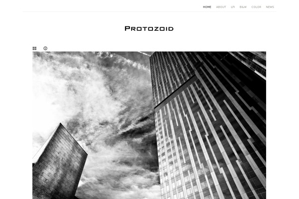 protozoid.com site used Nayma-child