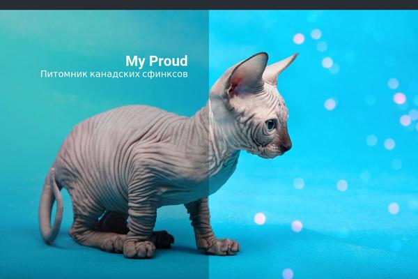 Widely theme site design template sample