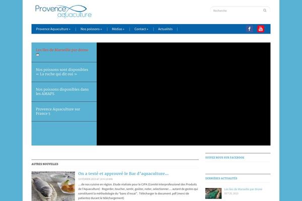 Gazeti theme site design template sample