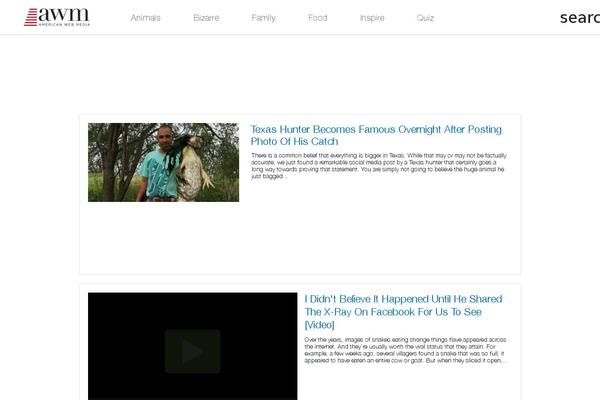 Awm theme site design template sample