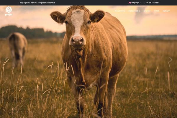 Ultima theme site design template sample